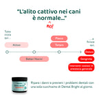 Dental Bright 🌿 | Polvere 100% Naturale | 60 dosi