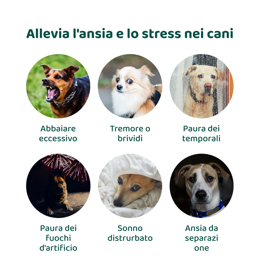 Ansia & Stress🌿 | 100% Naturale | 60 integratori