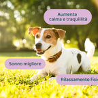 Ansia & Stress🌿 | 100% Naturale | 60 integratori