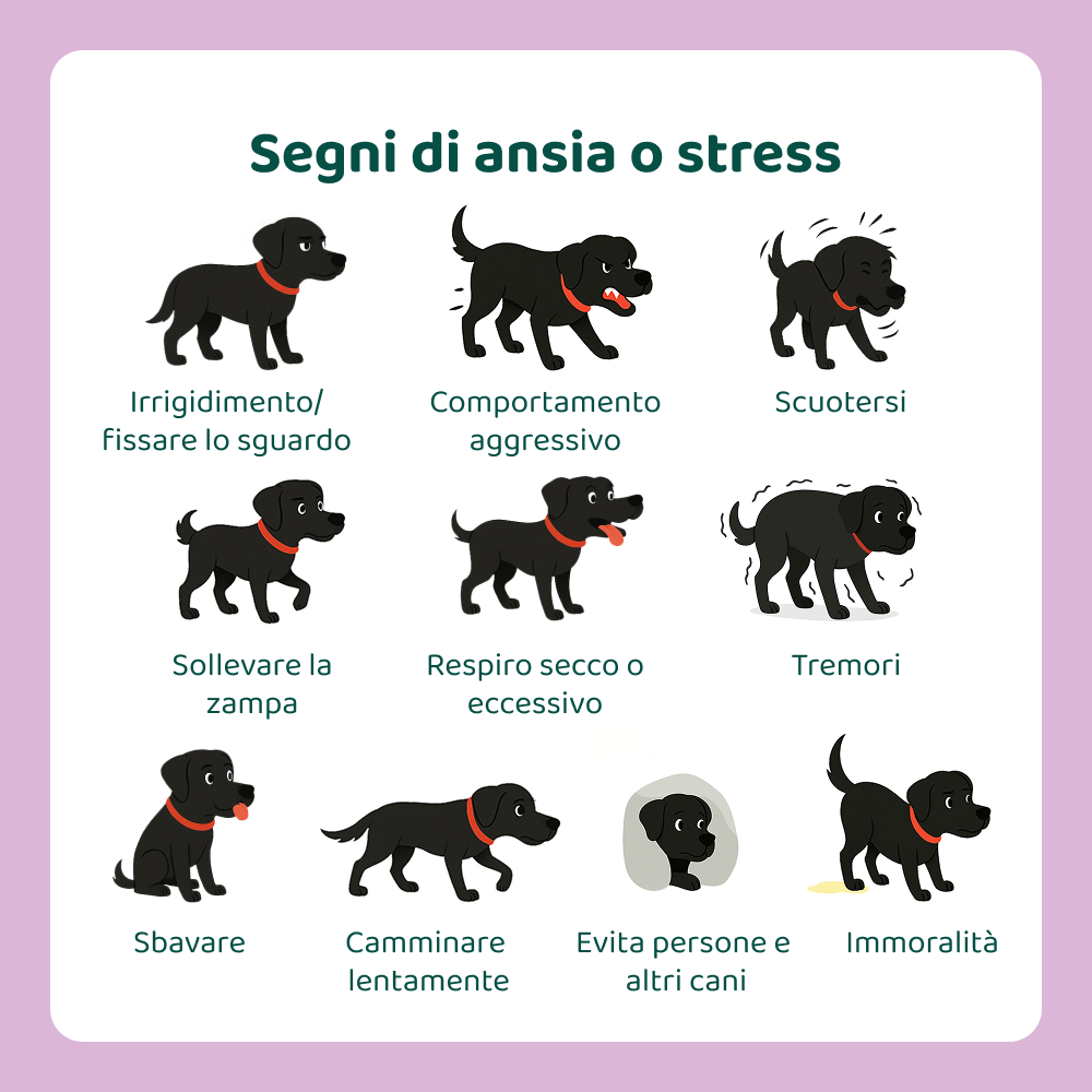 Ansia & Stress🌿 | 100% Naturale | 60 integratori