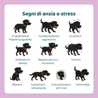 Ansia & Stress🌿 | 100% Naturale | 60 integratori
