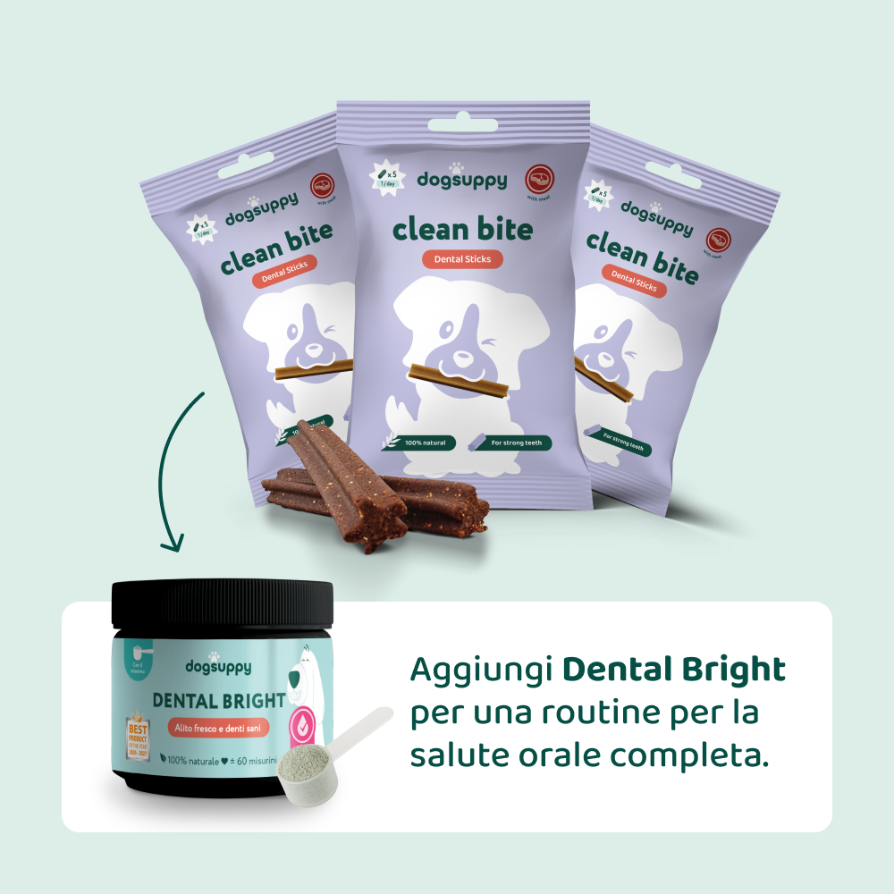Dental Sticks Clean Bite🌿