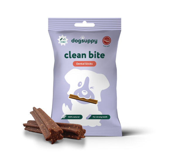 Dental Sticks Clean Bite🌿