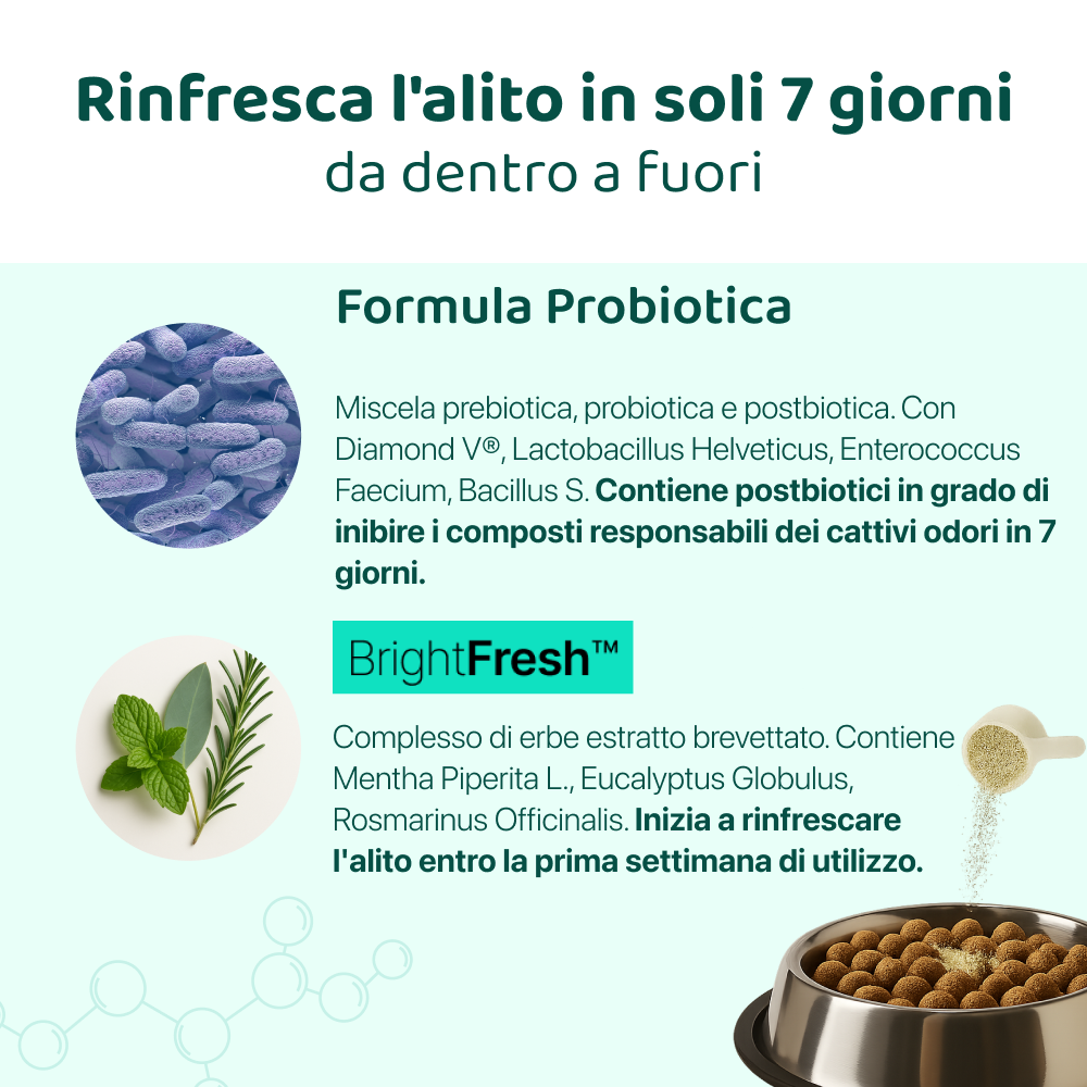 Dental Bright 🌿 | Polvere 100% Naturale | 60 dosi