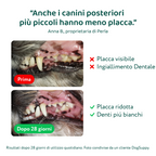 Dental Bright 🌿 | Polvere 100% Naturale | 60 dosi