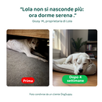 Ansia & Stress🌿 | 100% Naturale | 60 integratori