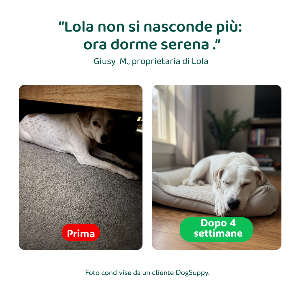 Ansia & Stress🌿 | 100% Naturale | 60 integratori