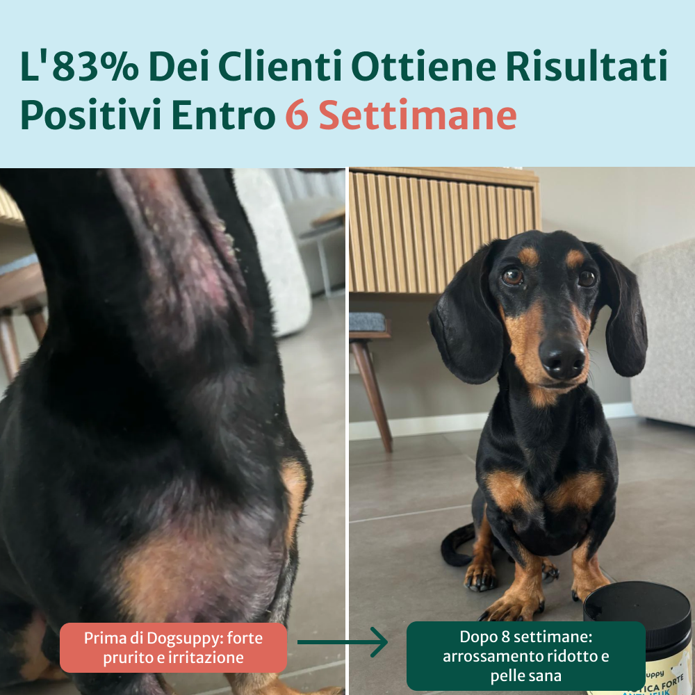Sollievo Prurito🌿 | 100% Naturale | 60 integratori