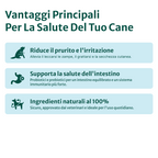 Sollievo Prurito🌿 | 100% Naturale | 60 integratori