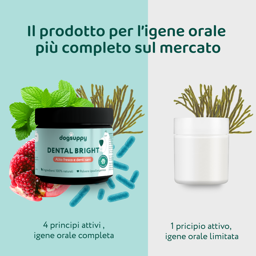 Dental Bright 🌿 | Polvere 100% Naturale | 60 dosi