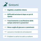 Ossa & Articolazioni🌿 | 100% Naturale | 60 integratori