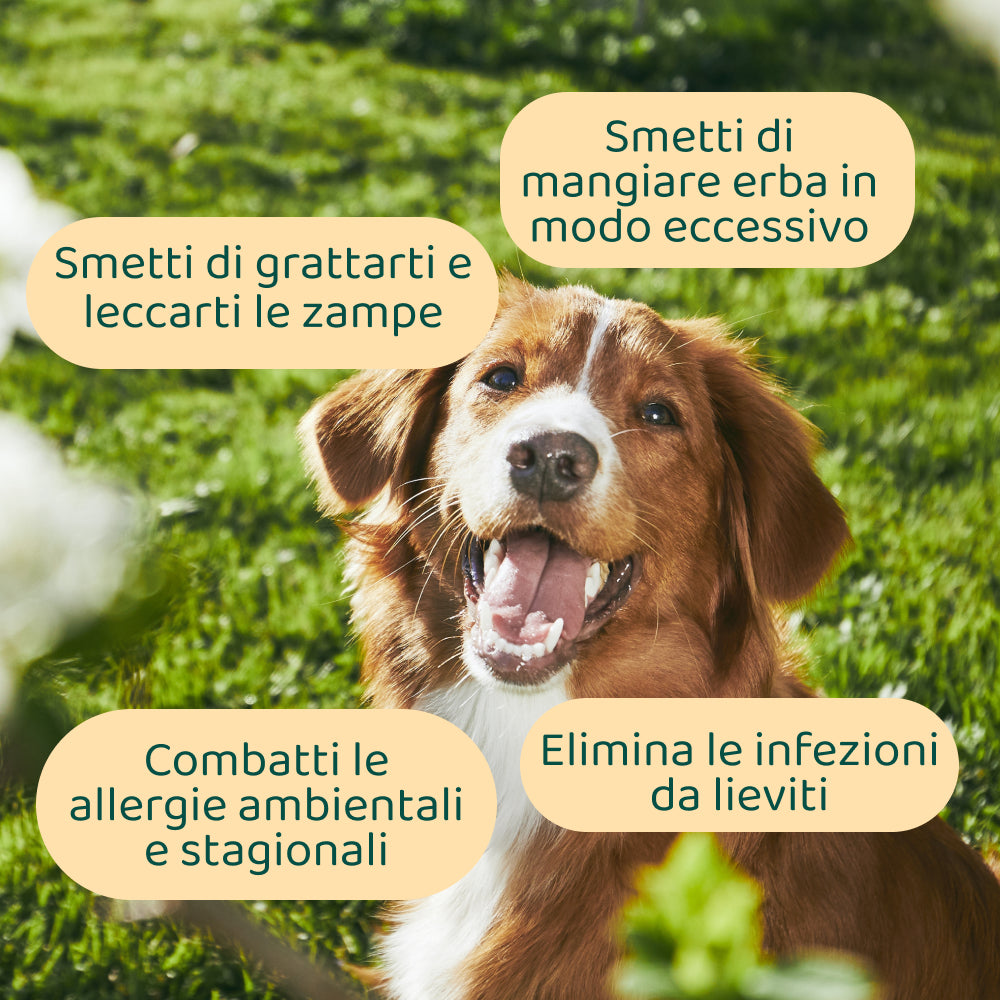 Sollievo Prurito🌿 | 100% Naturale | 60 integratori