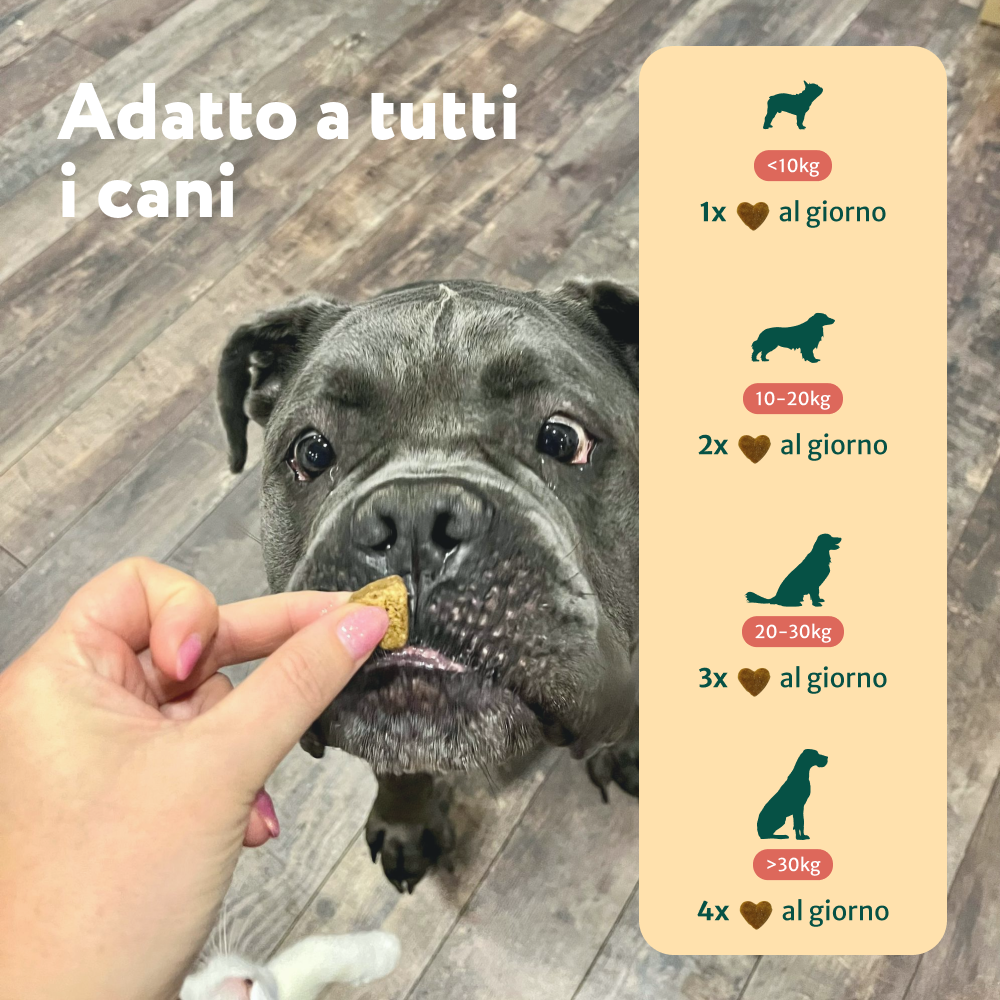 Sollievo Prurito🌿 | 100% Naturale | 60 integratori