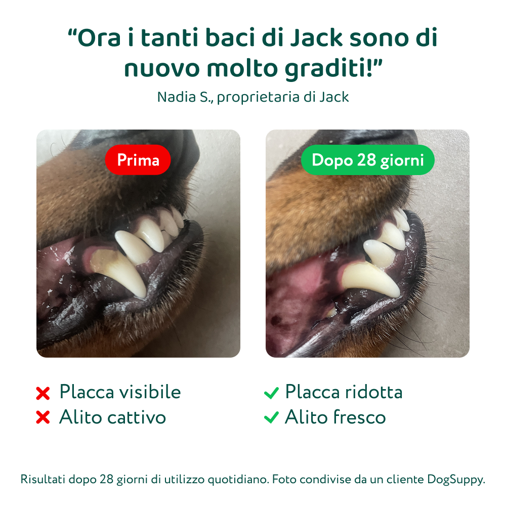Dental Bright 🌿 | Polvere 100% Naturale | 60 dosi
